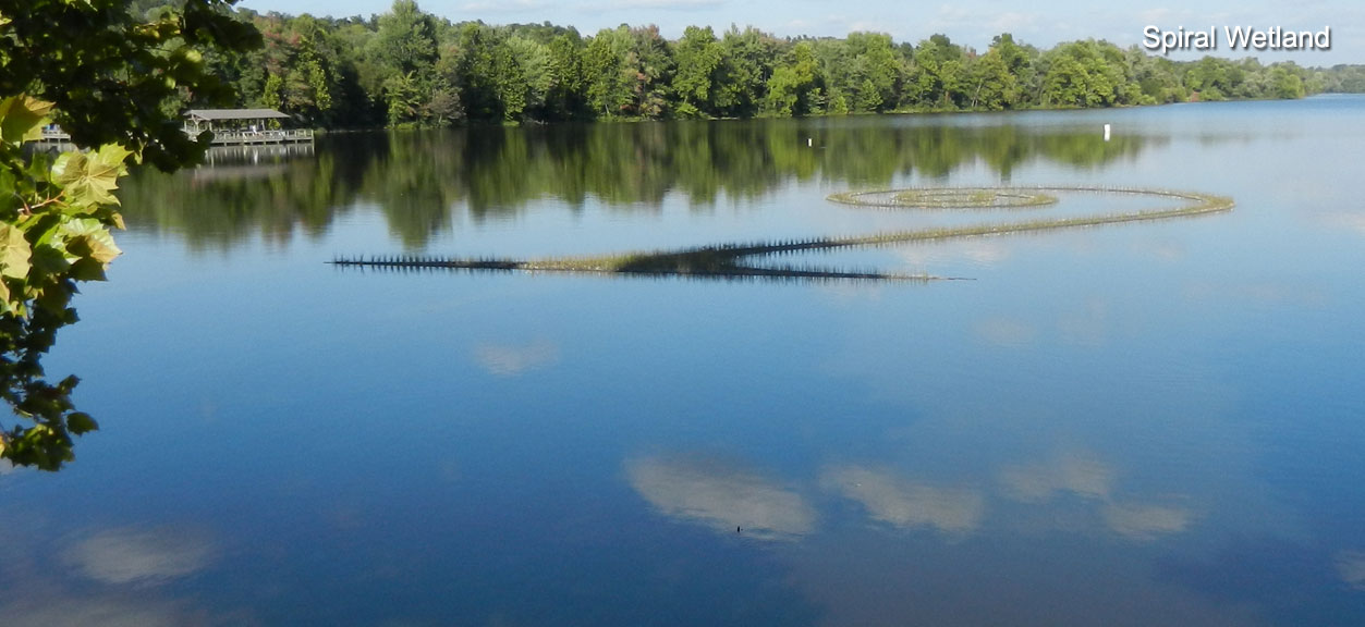 Spiral Wetland